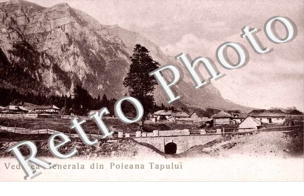 Vederea Generala