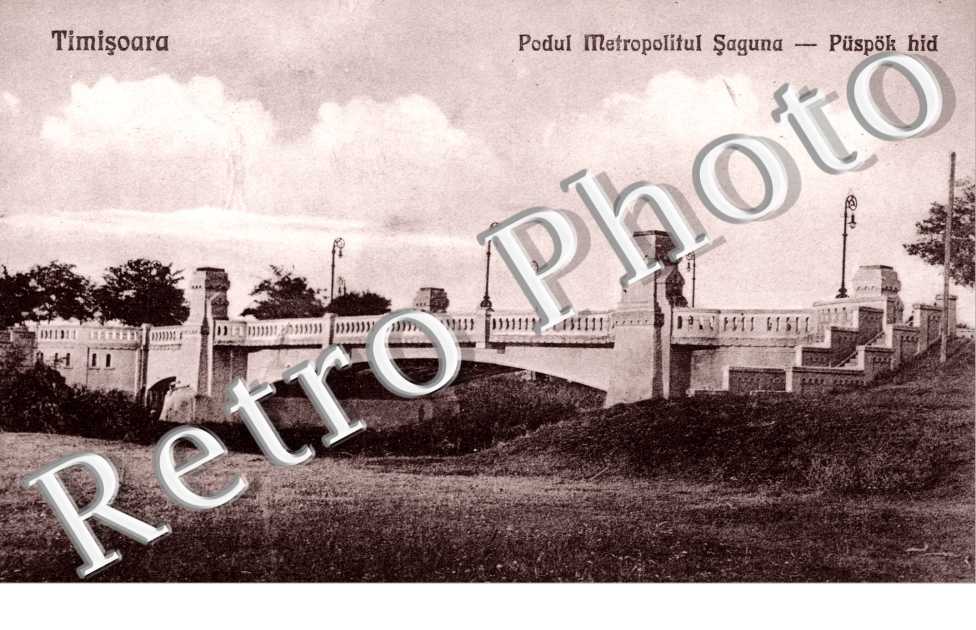  Podul Metropolitul Saguna