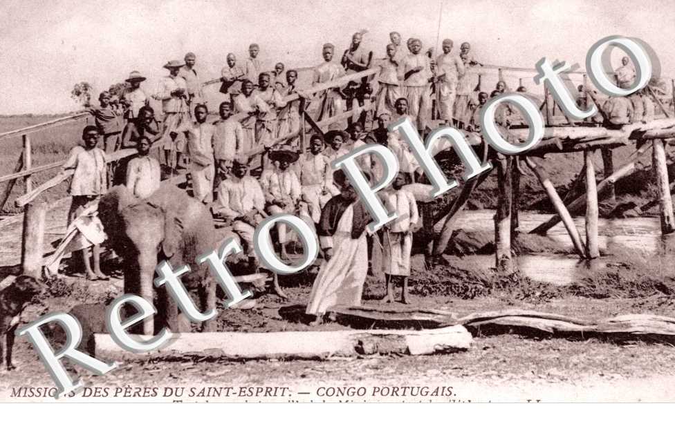 Missions des Peres du Saint Esprit, Elephants au travail