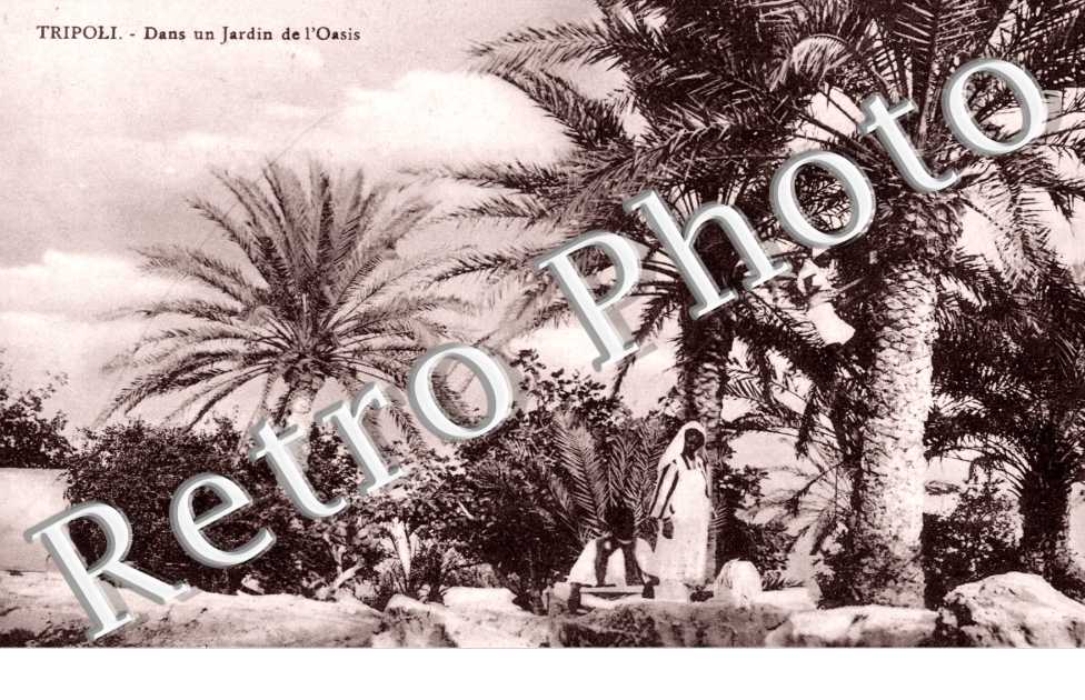 Dans un Jardin de l'Oasis