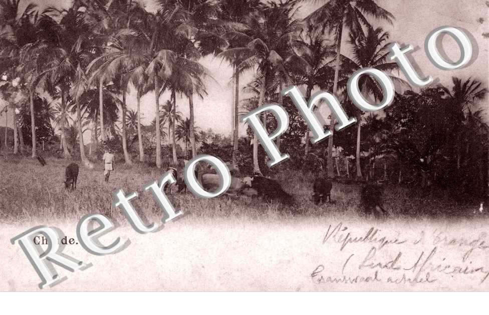(Paysage)