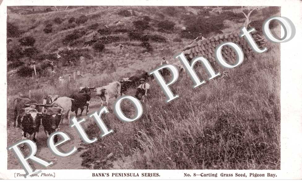 Bank's Peninsula Series