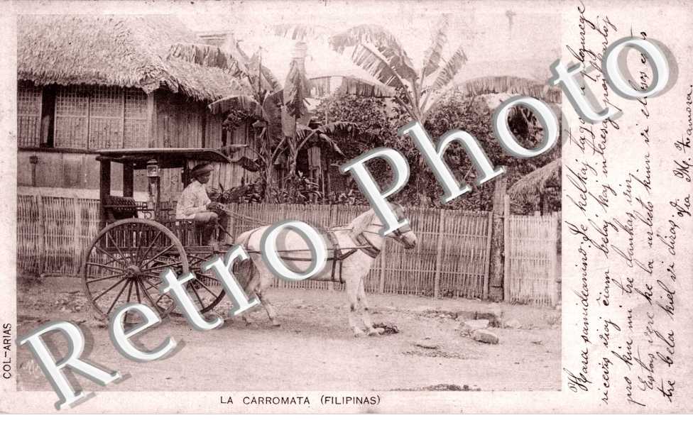 LA CARROMATA  (une caleche)