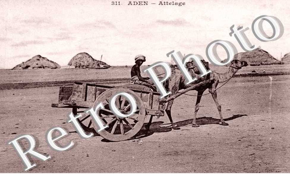 Attelage