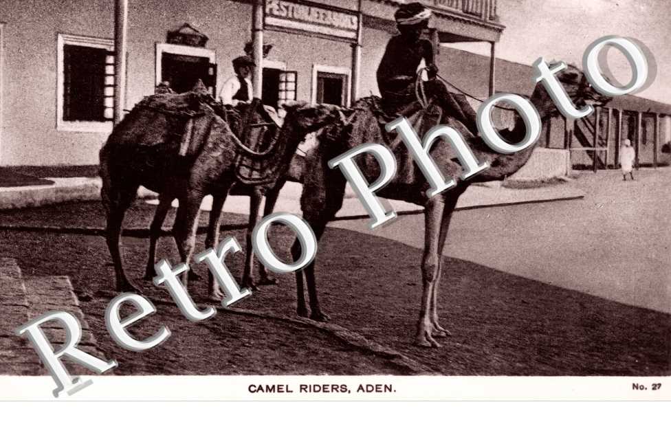 Camels Riders