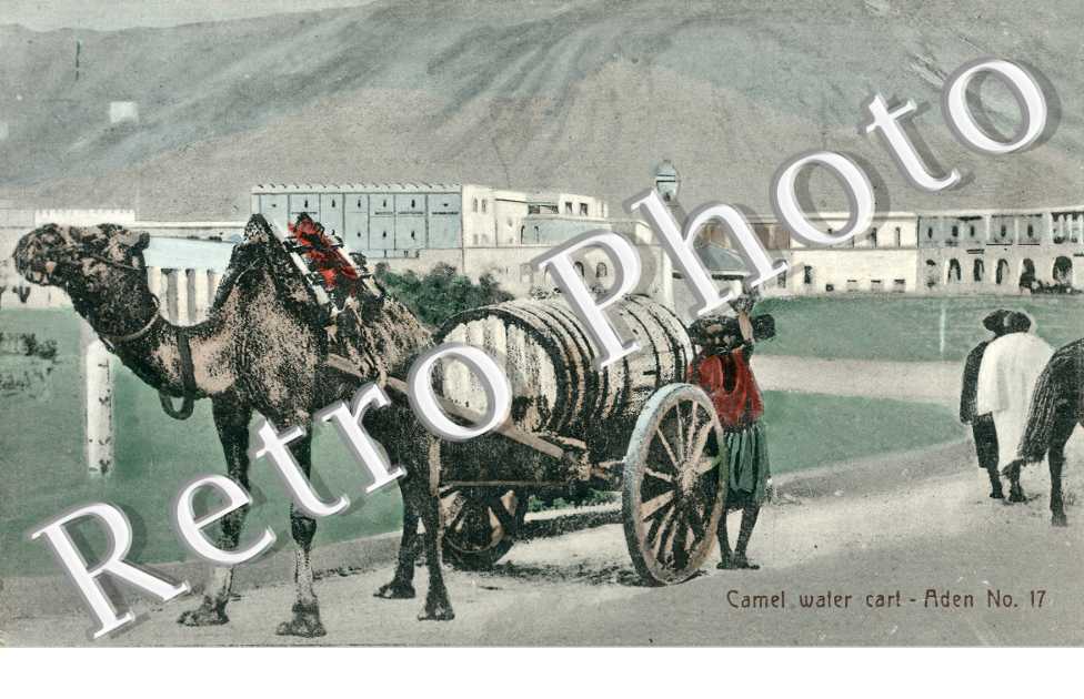 Camel water cart