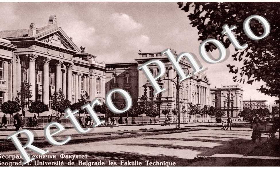 L'universite