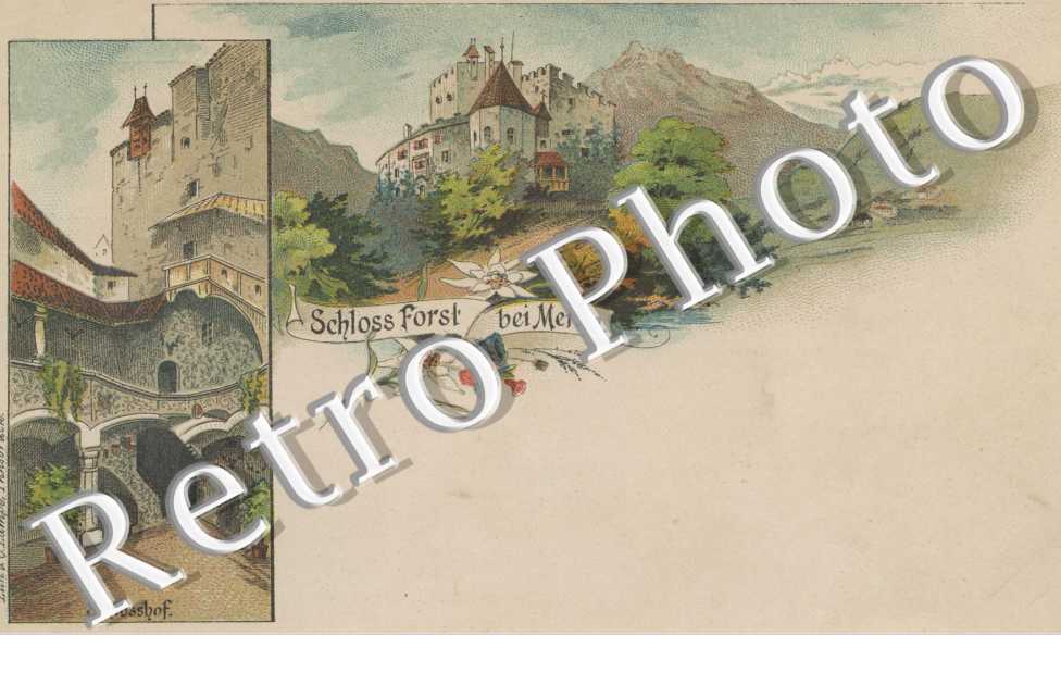 Schloss Forst bei Mera.