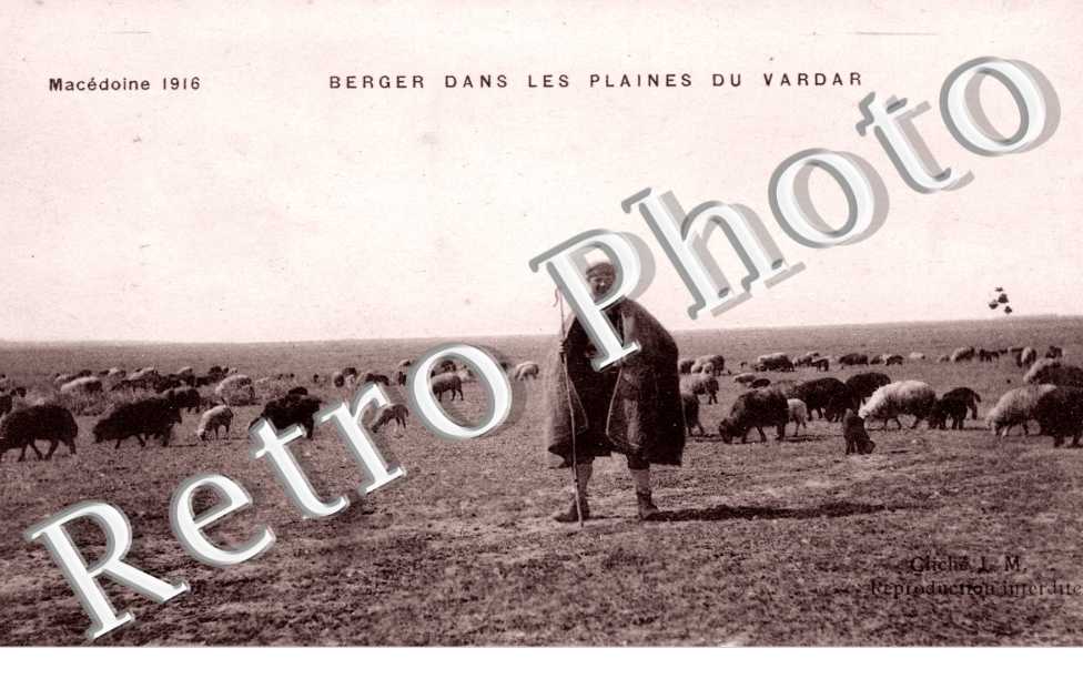 Berger dans les plaines du Vardar