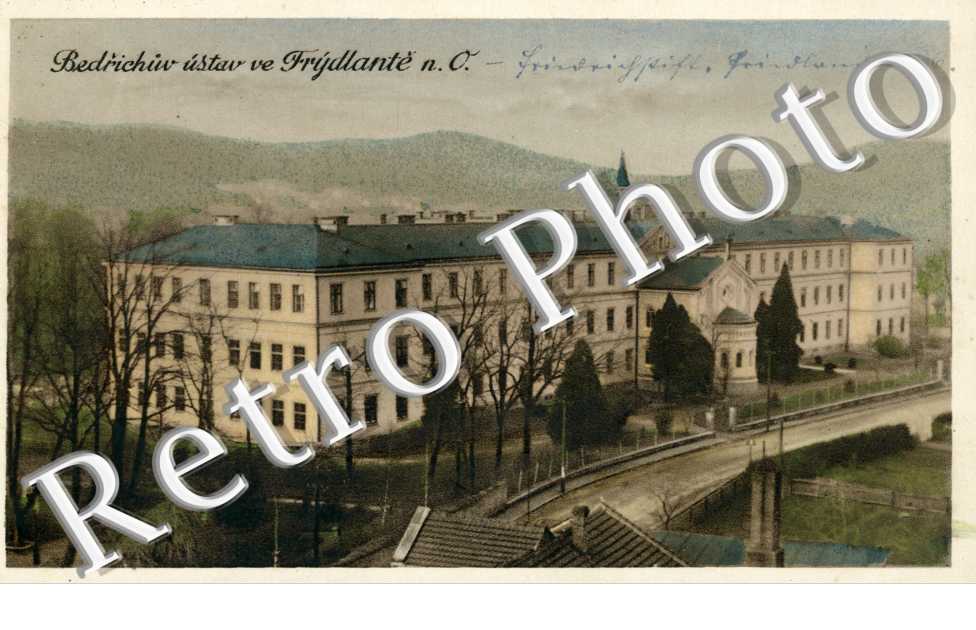 Friedland in Bohem, Bedrichuv ustav