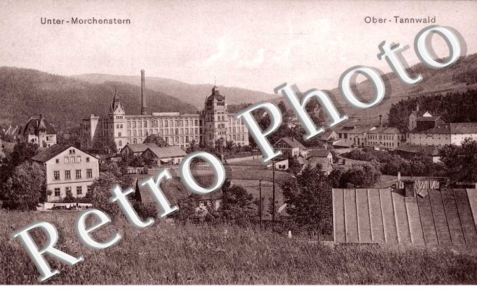 Morchenstern, Ober Tannwald