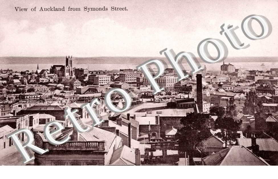 View of Auckland from Symonds Street