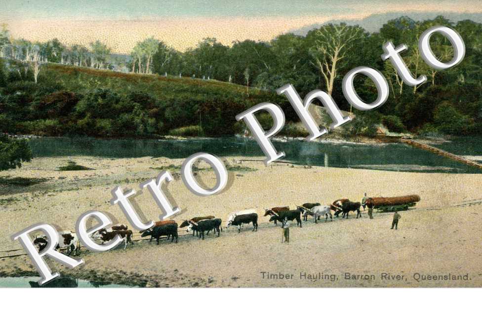 Timber Hauling  Queensland