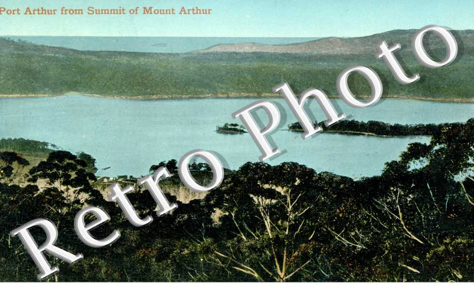 From Summit of Mount Arthur