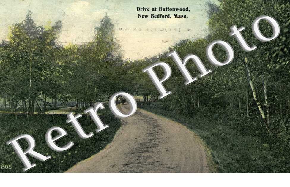 Drive at Buttonwood
