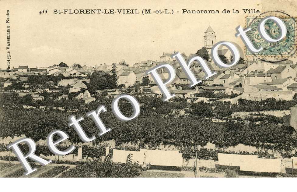 panorama