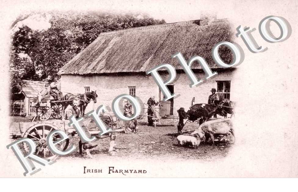 Irish Farmyard