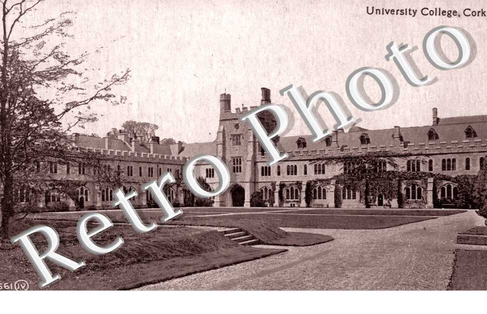 University College