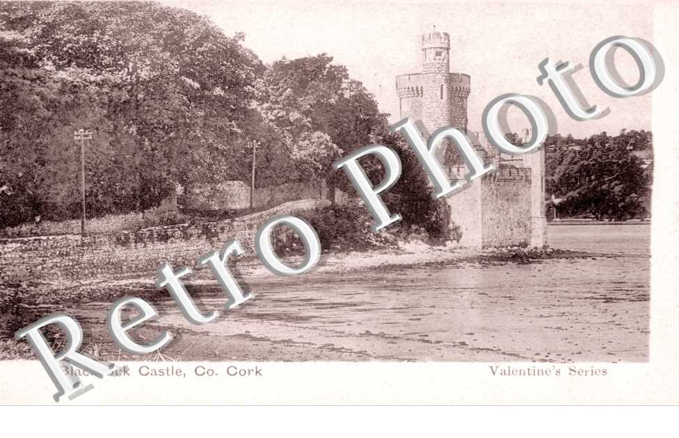 Blackrock Castle