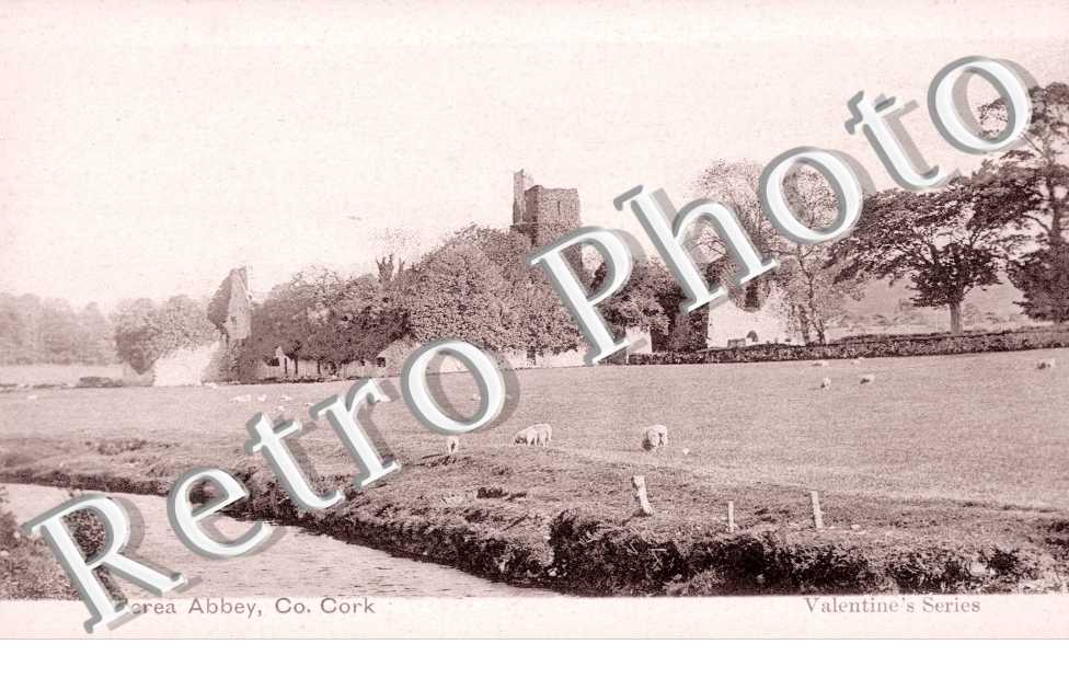 Kilcrea Abbey