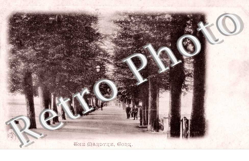 The Mardyke