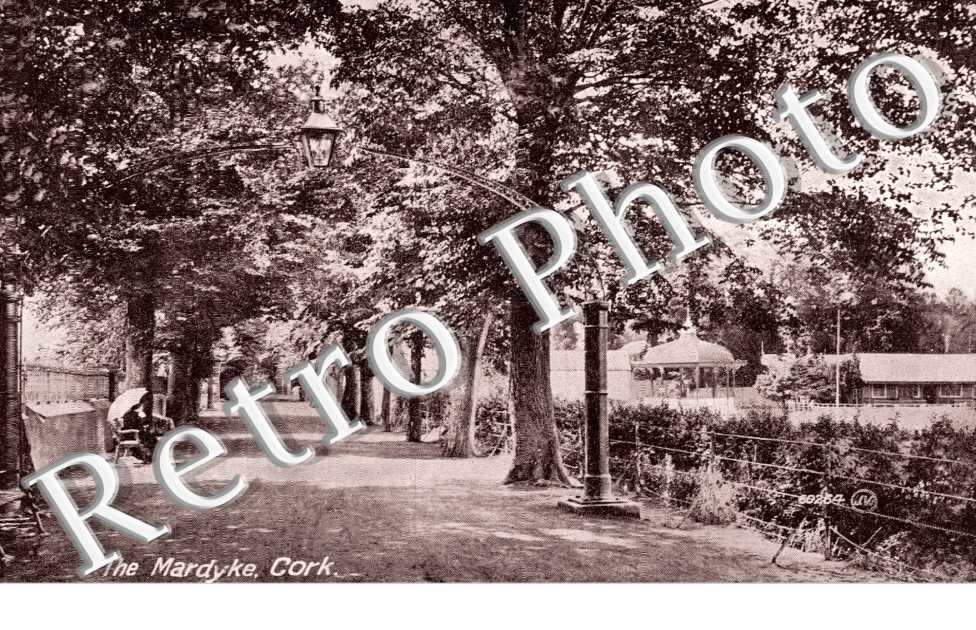 The Mardyke