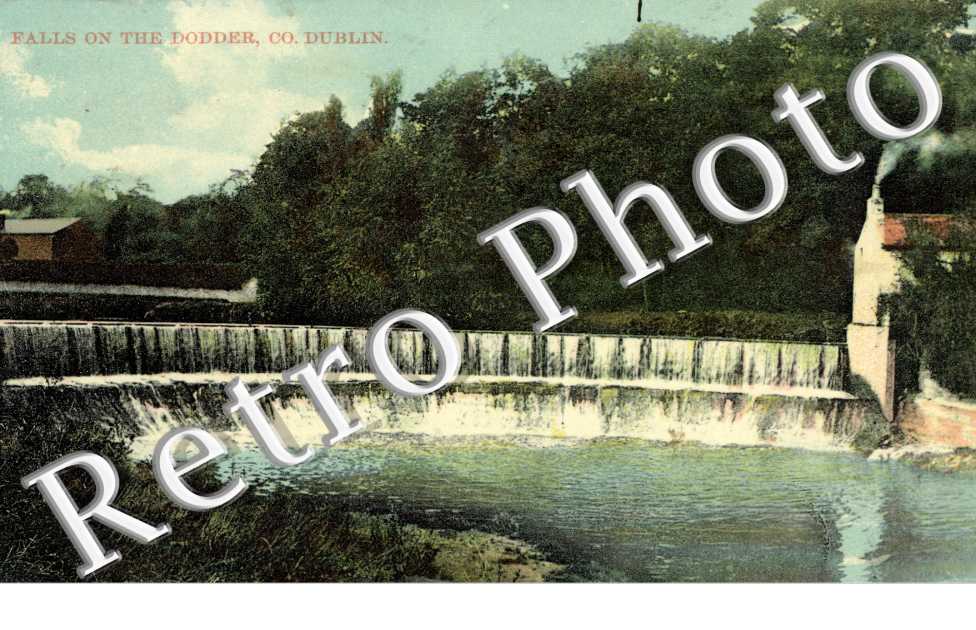 Falls on the Dodder