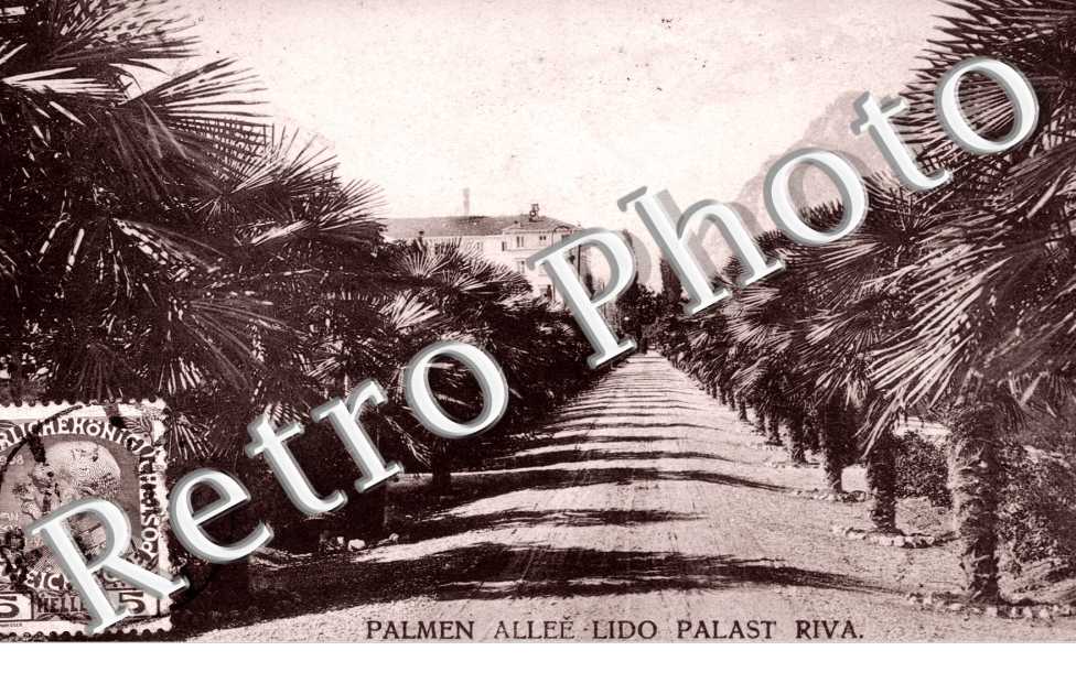 Palmen Allee Lido Palast Riva