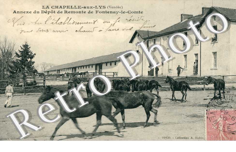 Annexe du Depot de Remonte de Fontenay le Comte