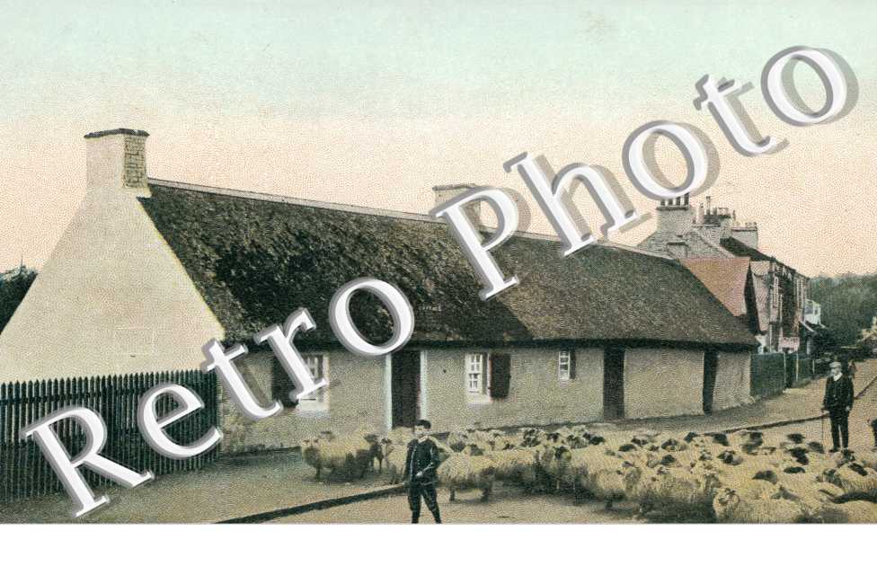 Burn's Cottage