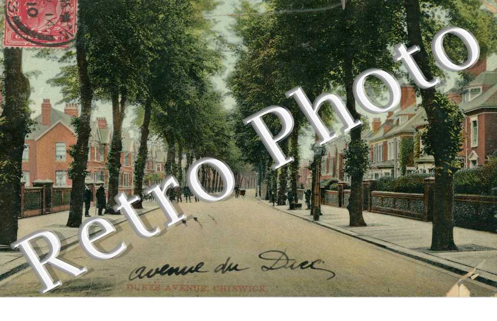 Duke's Avenue