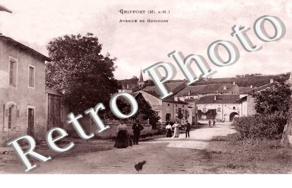 Avenue de Gripport