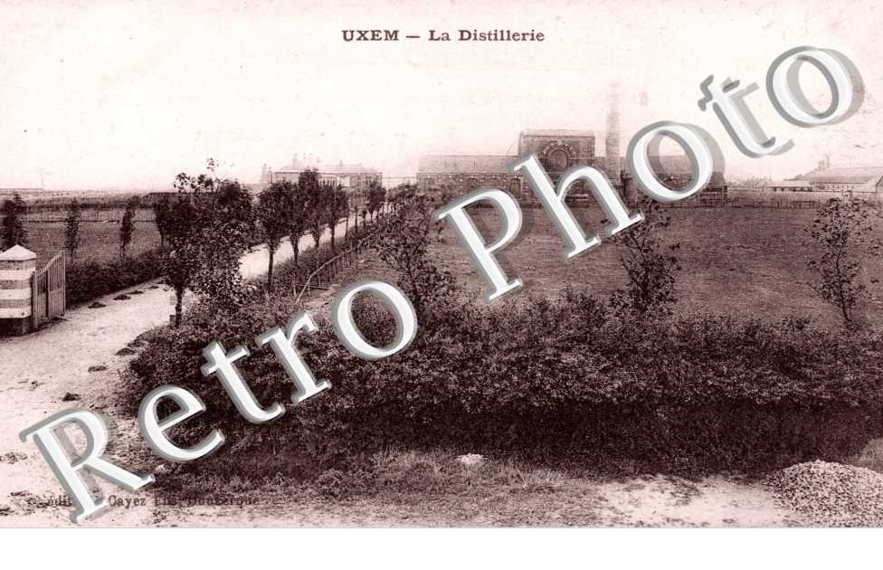 la distillerie