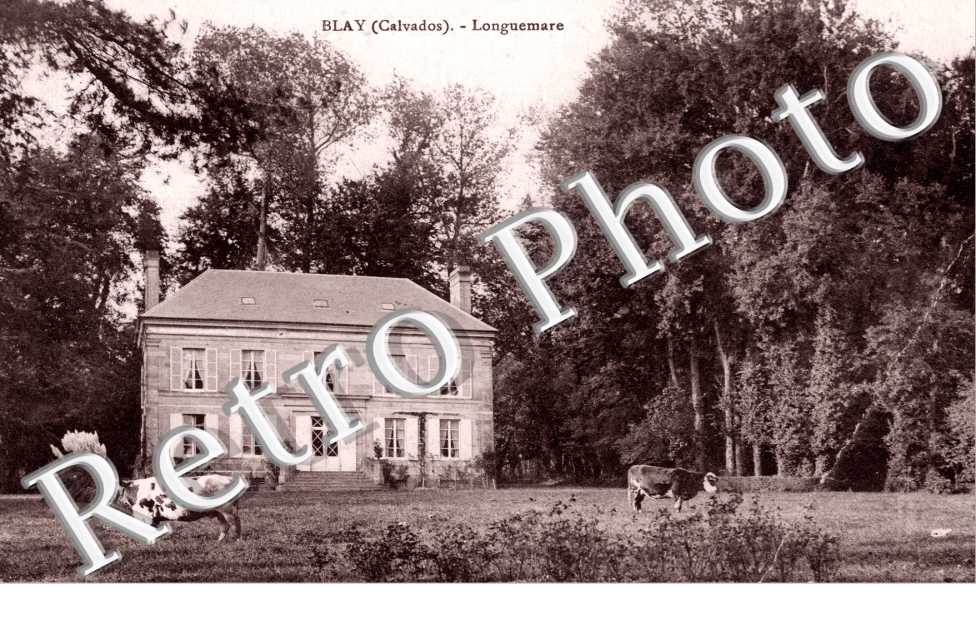 Longuemare