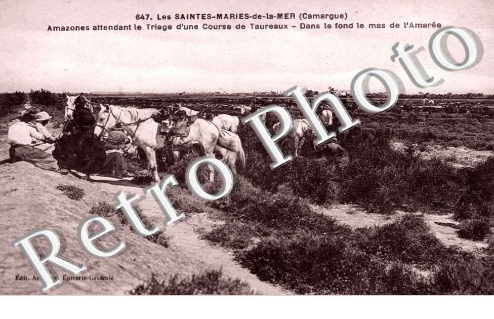 Amazones attendant le triage d'une course de taureaux Le Mas de l'Amaree dans le fond