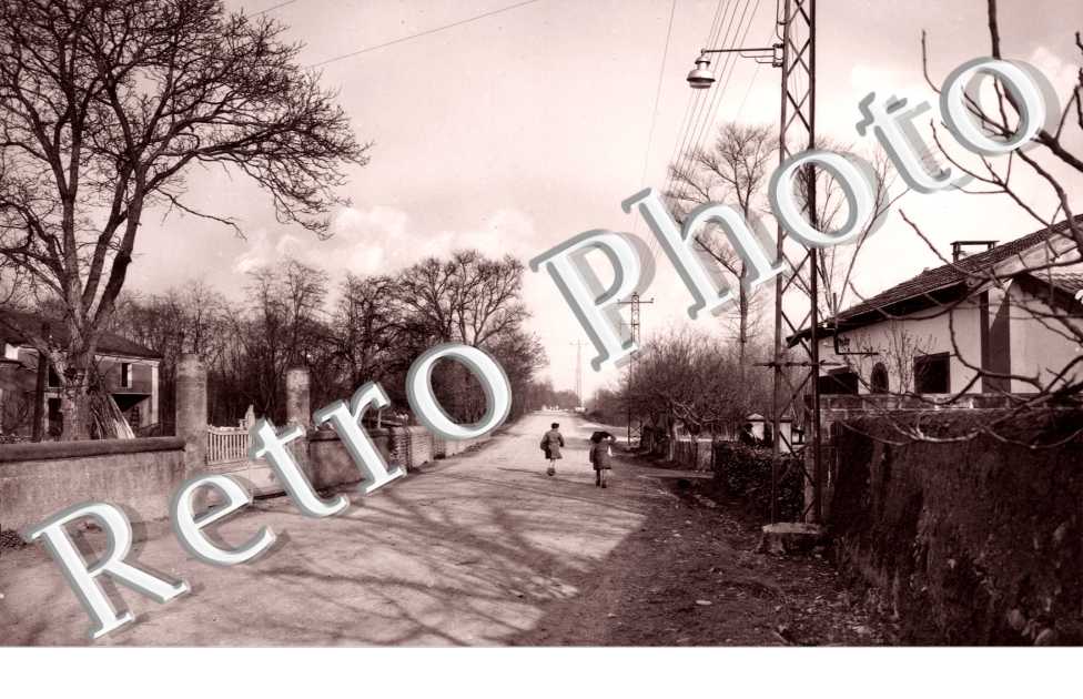 Avenue du Pont de l'Adour