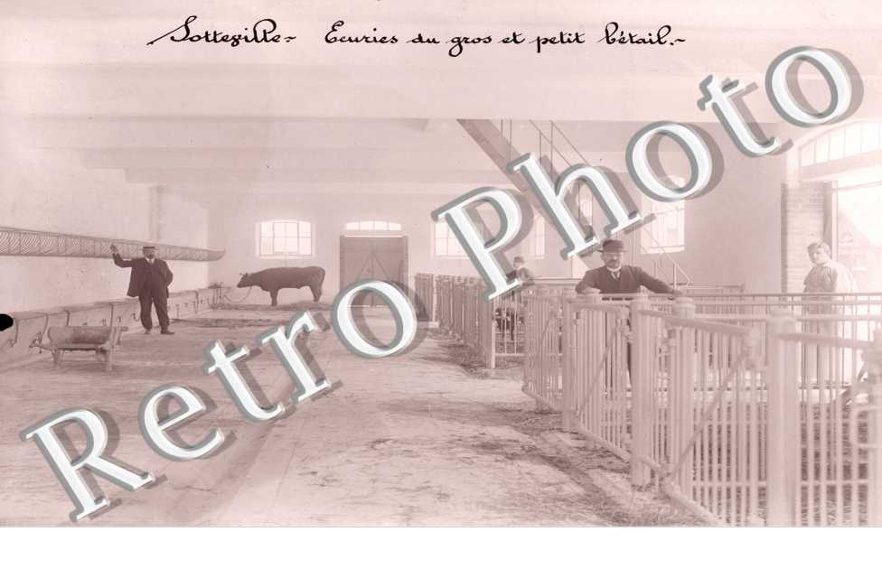 vue panoramique