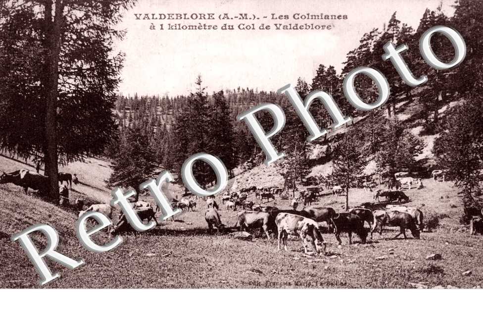 Les Colmianes
Les Colmianes