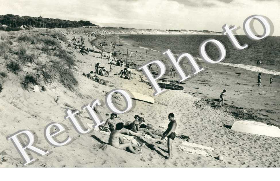 Les Plages de la Bosse et de l'Epine