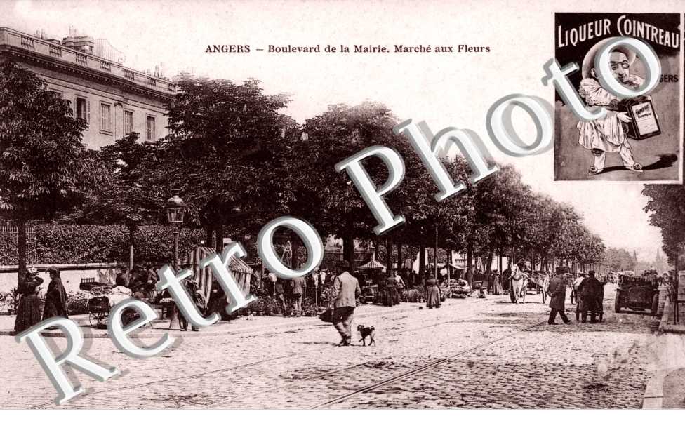 boulevard de la Mairie - marche aux fleurs