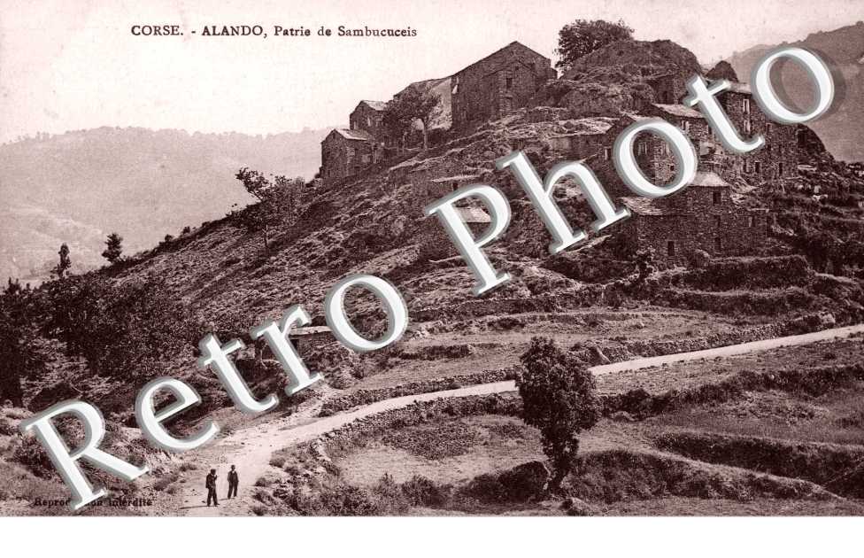 Patrie de Sambucueis