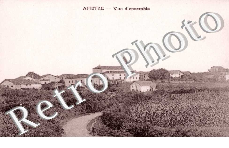 Vue  d'ensemble