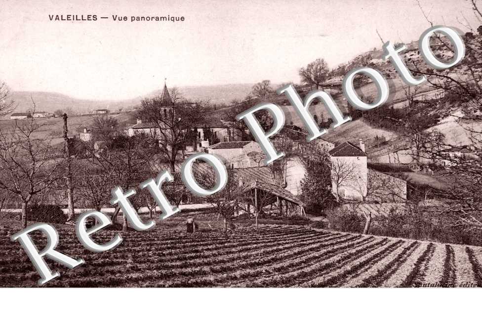 Vue Panoramique