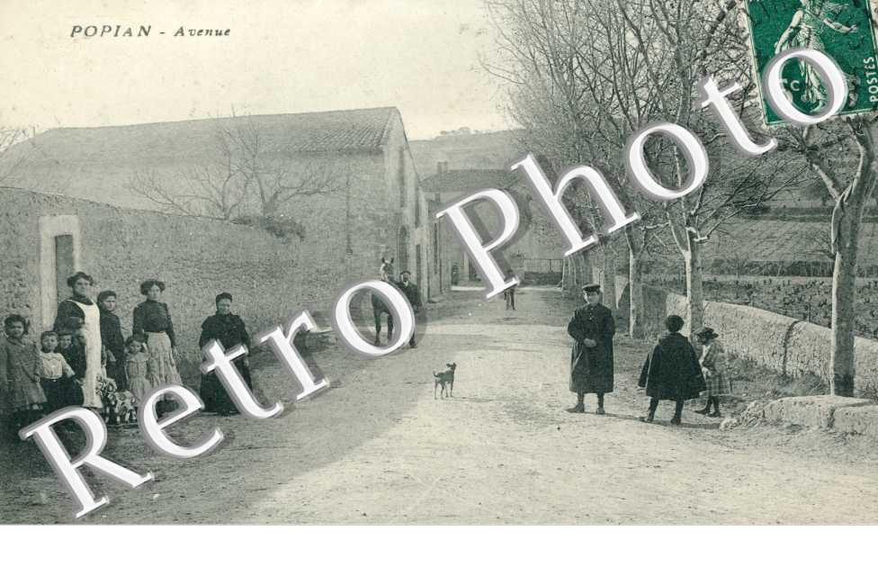 Avenue