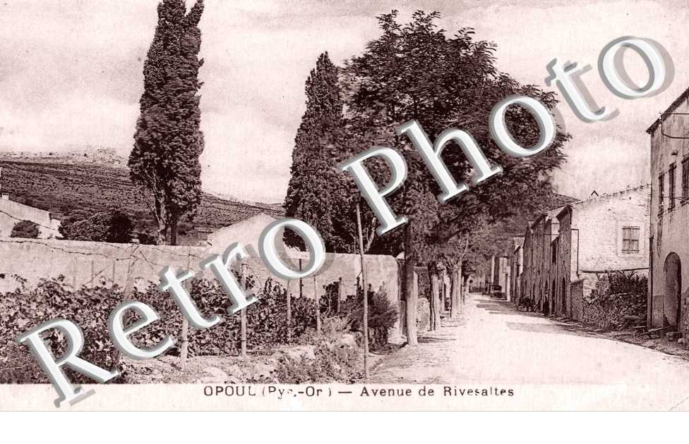 Avenue de Rivesaltes