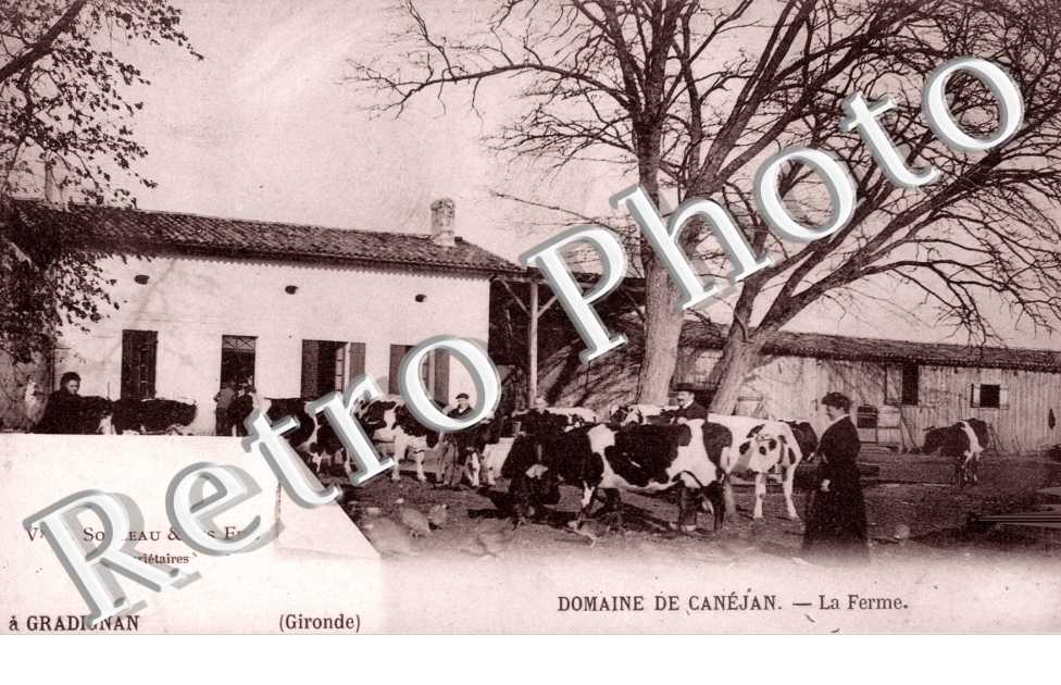 La ferme