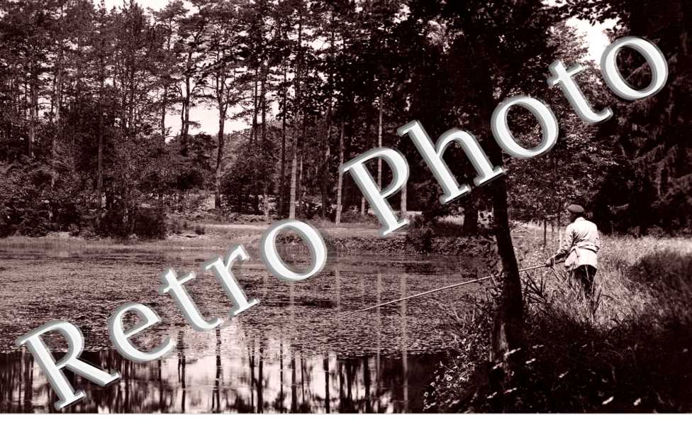 l'etang du chateau de la Folie