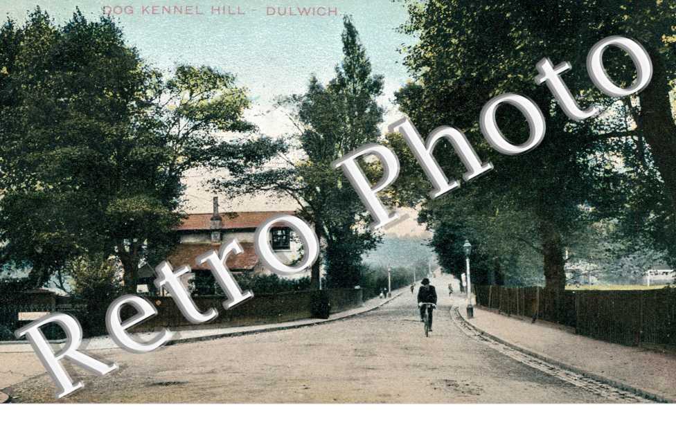 Dog Kennel Hill