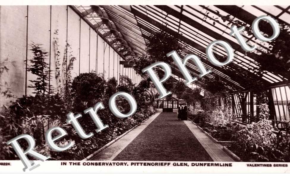 In the Conservatory, Pittenorieff Glen