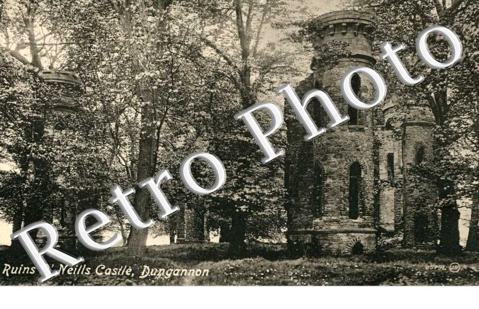 Ruins O'Neill castle